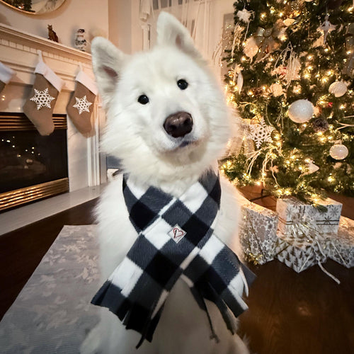 Fleece Buffalo Plaid Dog Scarf, Winter Puppy Scarf, Checkered White and Black