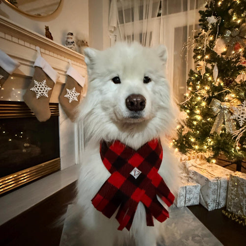 Fleece Buffalo Plaid Dog Scarf, Winter Puppy Scarf, Checkered Red and Black