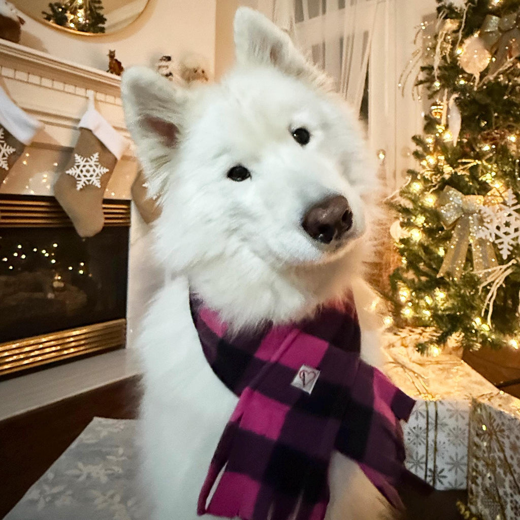Fleece Buffalo Plaid Dog Scarf, Winter Puppy Scarf, Checkered Pink/Purple and Black