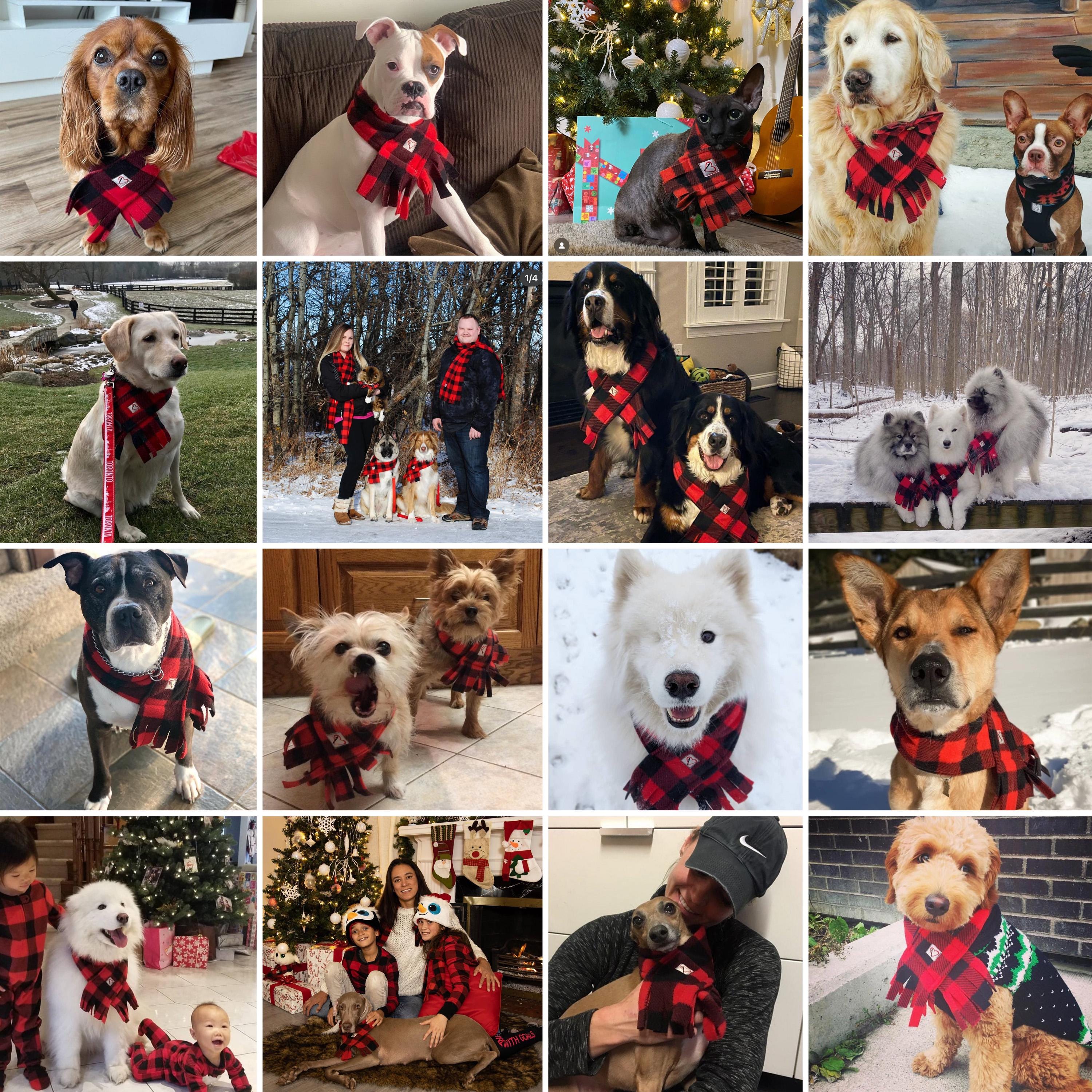 Fleece Buffalo Plaid Dog Scarf, Winter Puppy Scarf, Checkered Red and Black