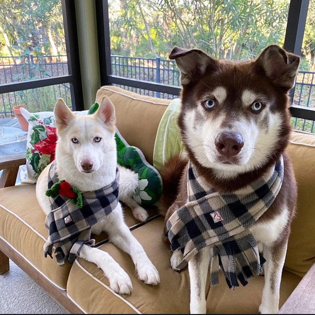 Fleece Buffalo Plaid Dog Scarf, Winter Puppy Scarf, Checkered White and Black