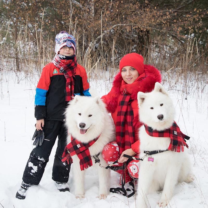 Fleece Buffalo Plaid Dog Scarf, Winter Puppy Scarf, Checkered Red and Black